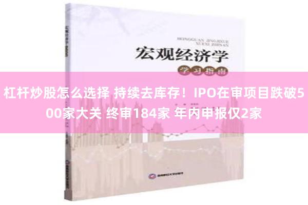 杠杆炒股怎么选择 持续去库存！IPO在审项目跌破500家大关 终审184家 年内申报仅2家