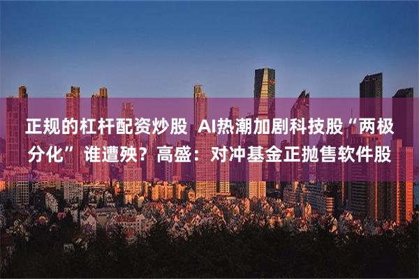 正规的杠杆配资炒股  AI热潮加剧科技股“两极分化” 谁遭殃？高盛：对冲基金正抛售软件股