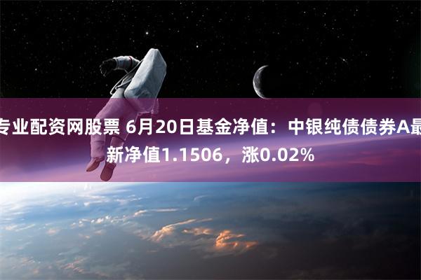 专业配资网股票 6月20日基金净值：中银纯债债券A最新净值1.1506，涨0.02%