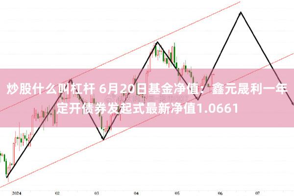 炒股什么叫杠杆 6月20日基金净值：鑫元晟利一年定开债券发起式最新净值1.0661