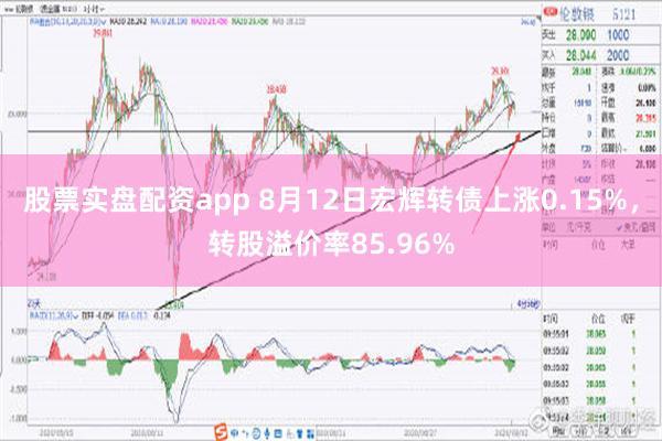 股票实盘配资app 8月12日宏辉转债上涨0.15%，转股溢价率85.96%