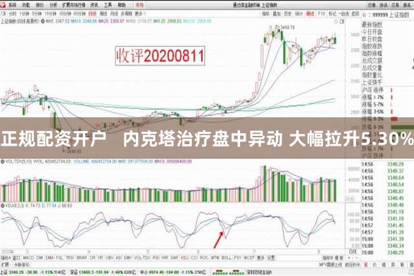 正规配资开户   内克塔治疗盘中异动 大幅拉升5.30%