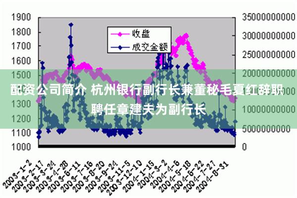 配资公司简介 杭州银行副行长兼董秘毛夏红辞职 聘任章建夫为副行长