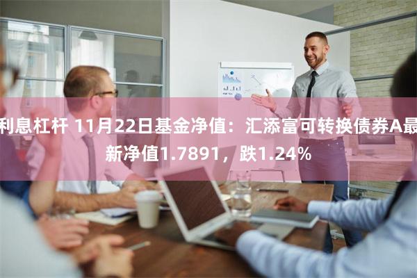 利息杠杆 11月22日基金净值：汇添富可转换债券A最新净值1.7891，跌1.24%