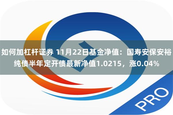 如何加杠杆证券 11月22日基金净值：国寿安保安裕纯债半年定开债最新净值1.0215，涨0.04%