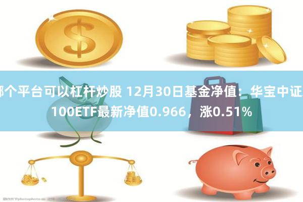 哪个平台可以杠杆炒股 12月30日基金净值：华宝中证A100ETF最新净值0.966，涨0.51%