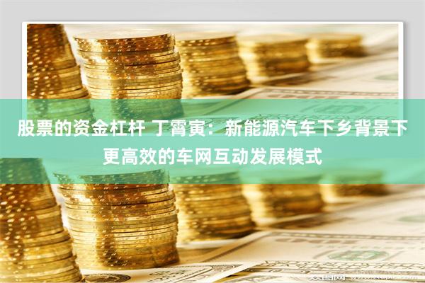 股票的资金杠杆 丁霄寅：新能源汽车下乡背景下更高效的车网互动发展模式