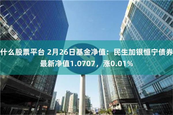 什么股票平台 2月26日基金净值：民生加银恒宁债券最新净值1.0707，涨0.01%